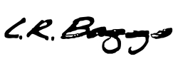 L.R. Baggs